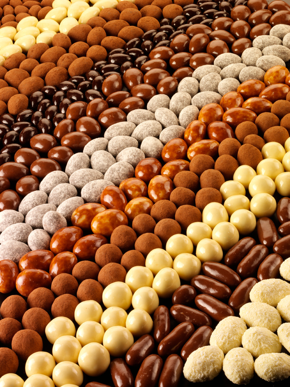 Chocolate Covered Nut